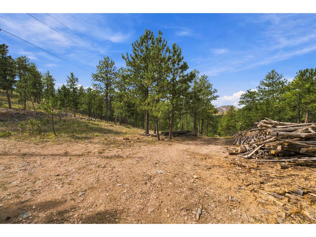 14133 Rist Canyon Rd