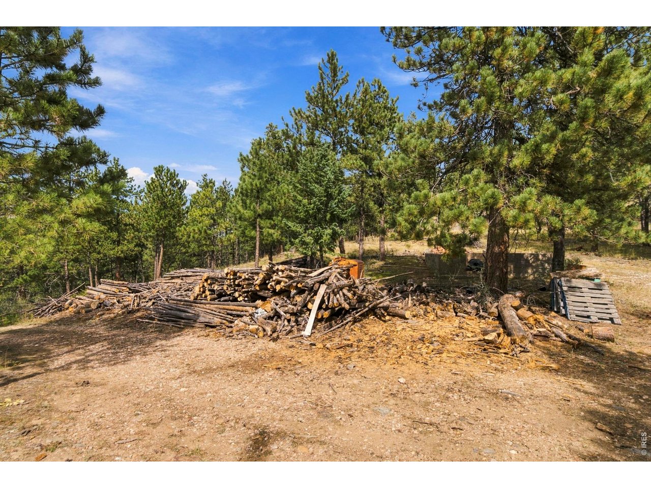 14133 Rist Canyon Rd