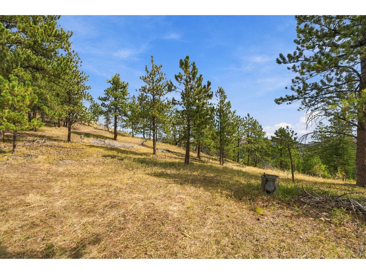 14133 Rist Canyon Rd