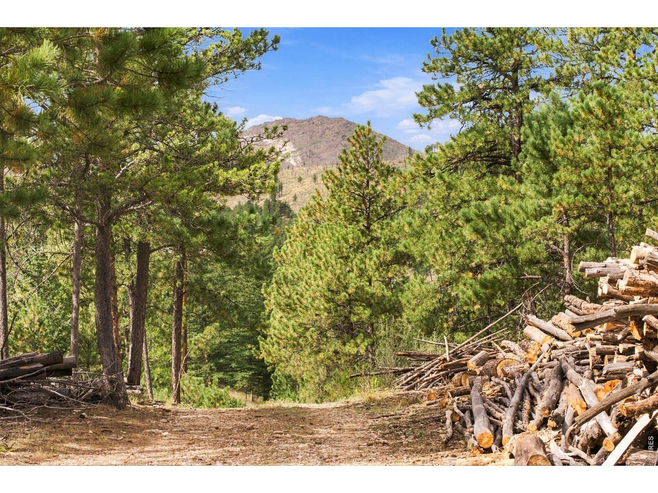14133 Rist Canyon Rd