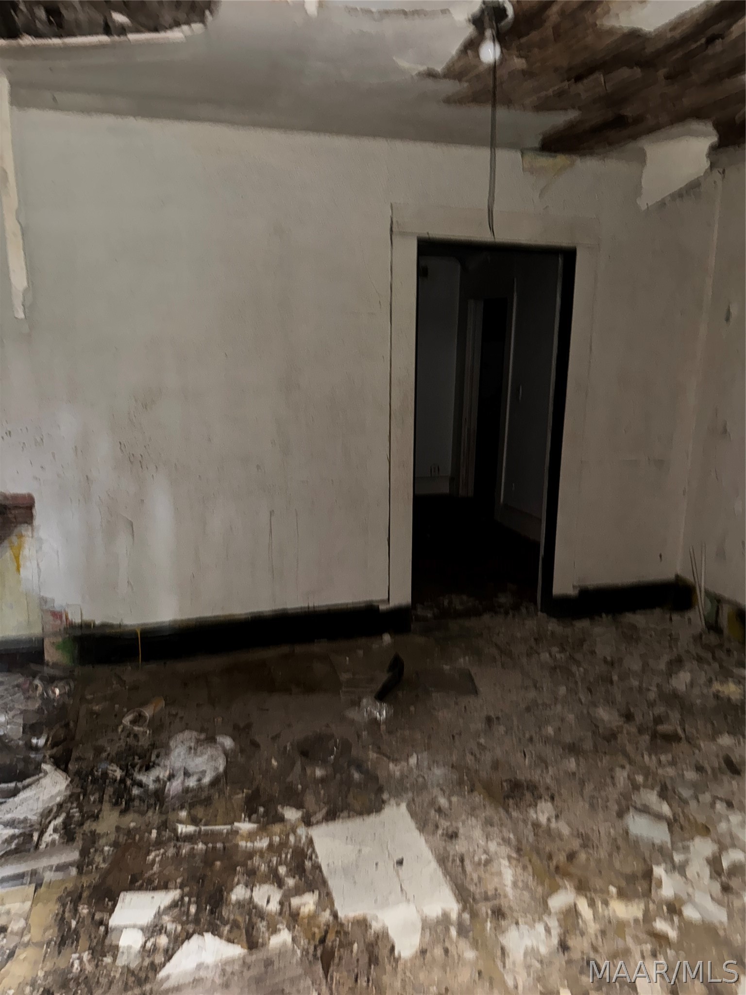 1117 CONGRESS Street