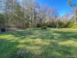 11531 ATLANTA Highway