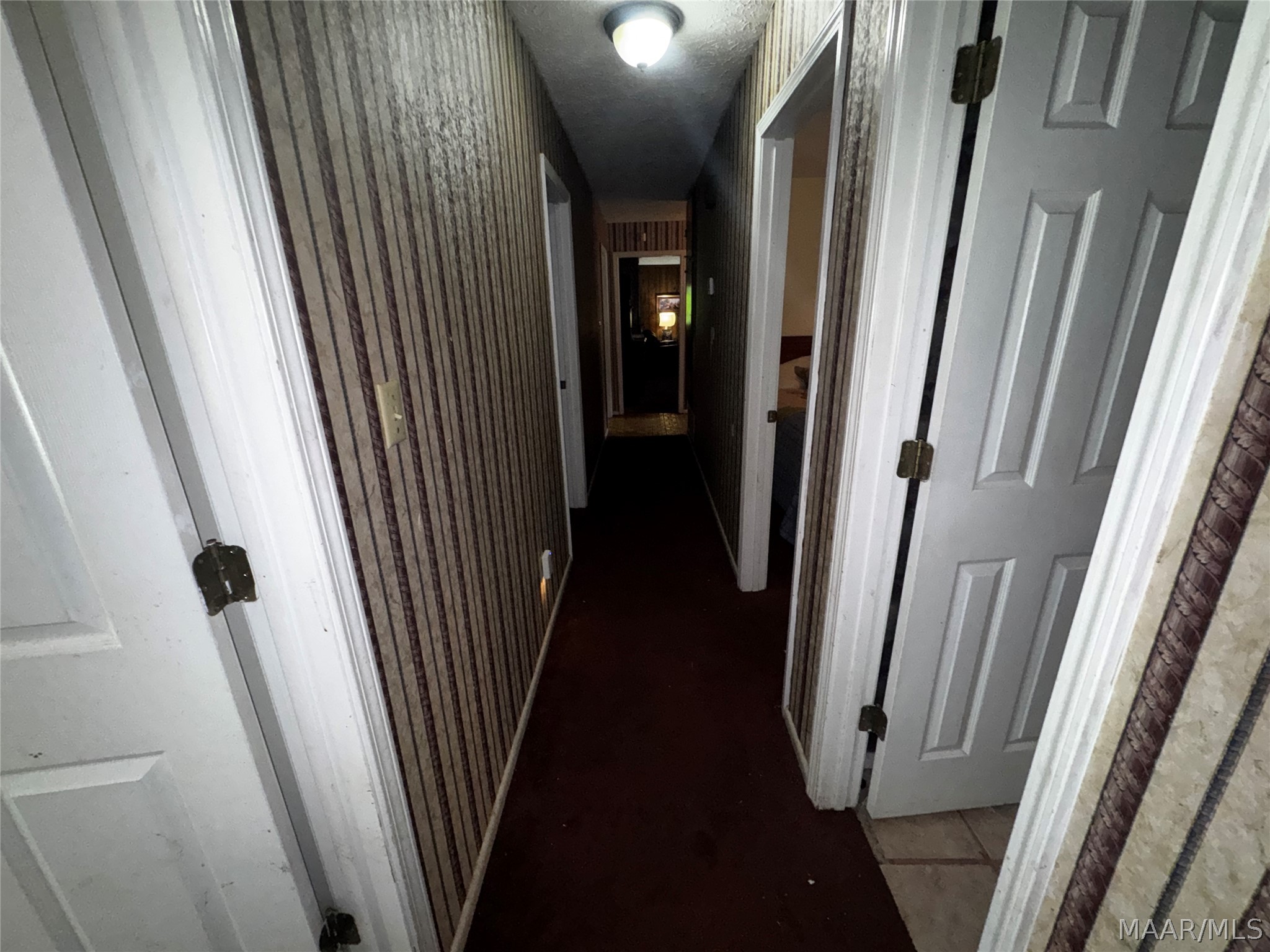 123 Spanish Oak Drive