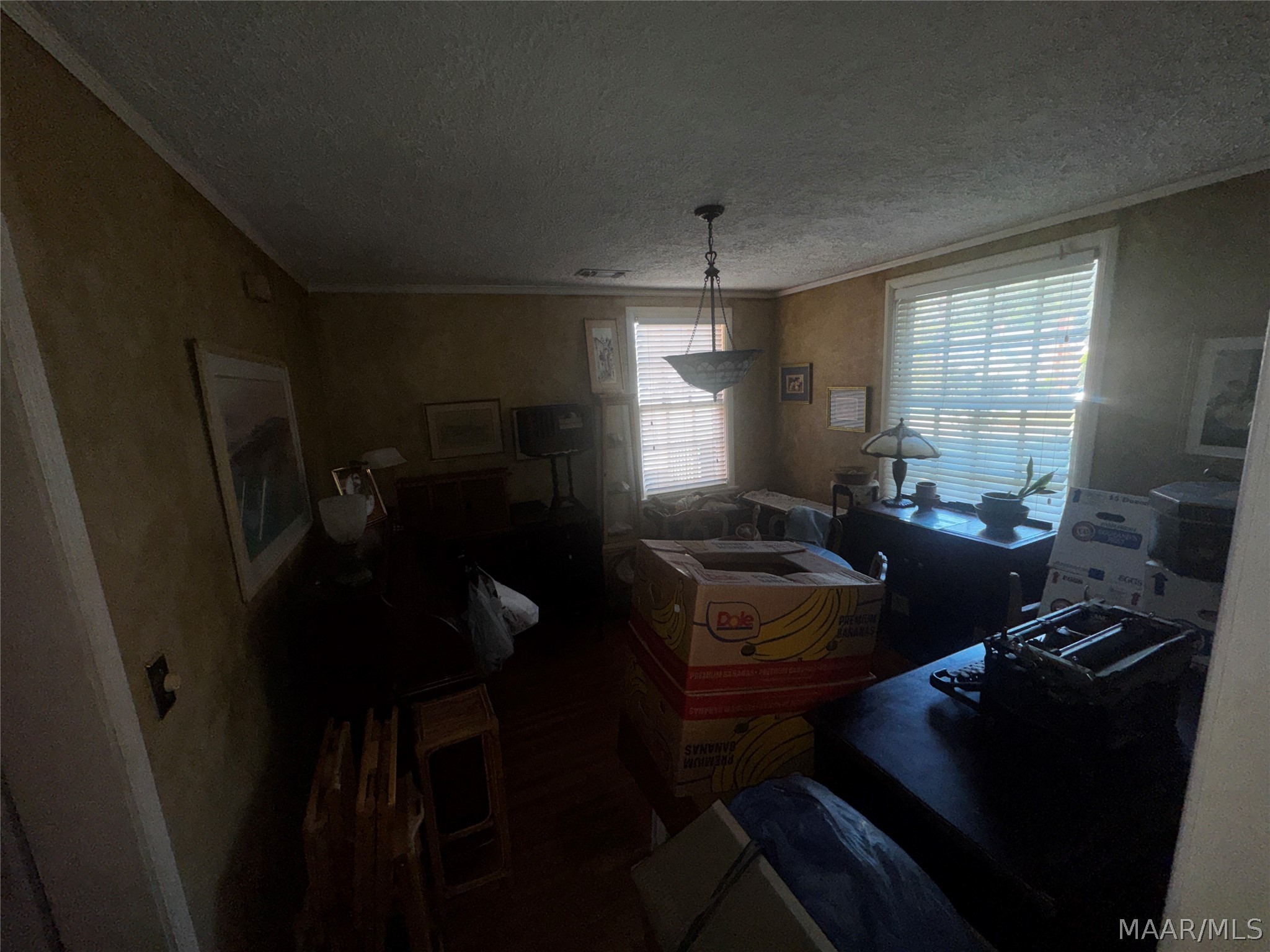 563 MORNINGVIEW Drive