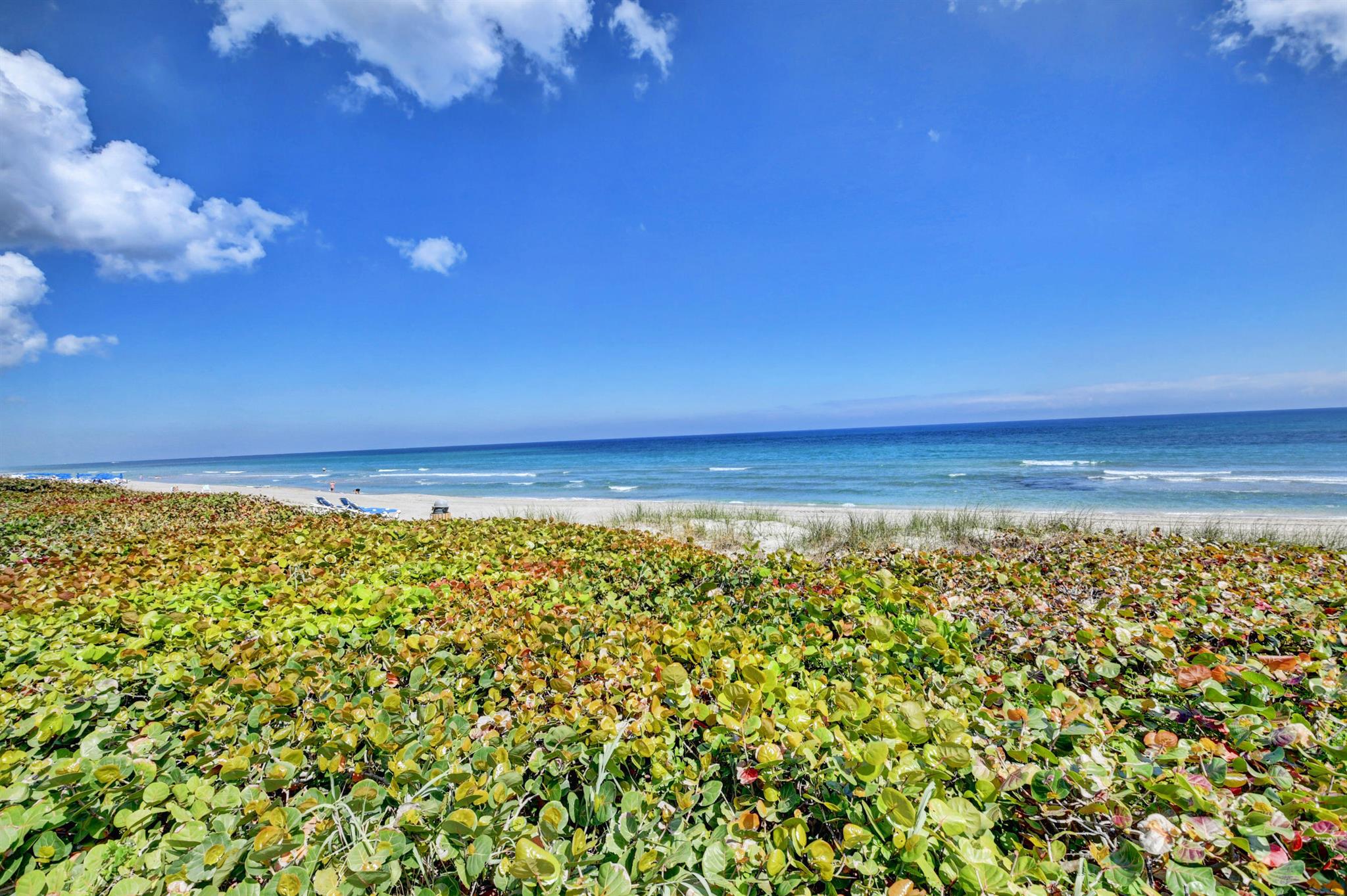 2909 S Ocean Boulevard 4c4