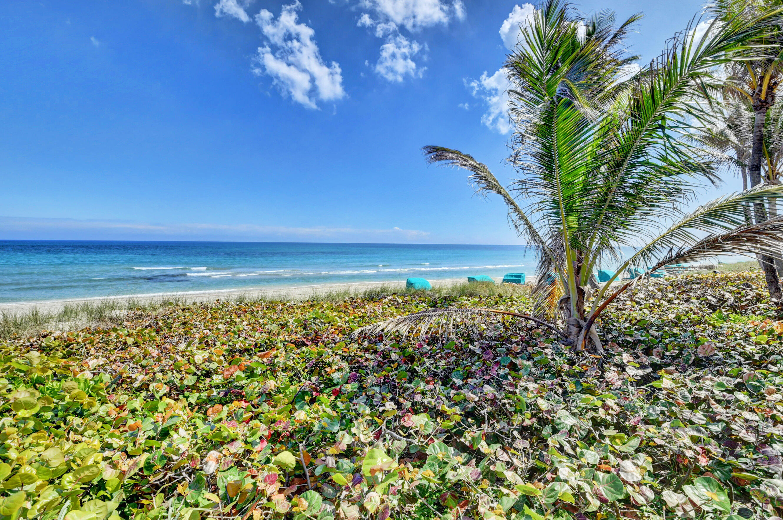 2909 S Ocean Boulevard 4c4