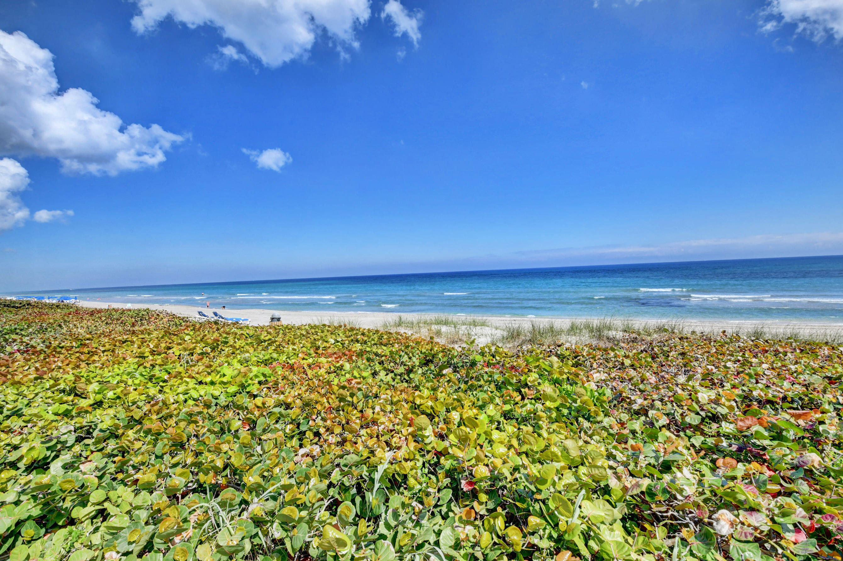 2909 S Ocean Boulevard 4c4