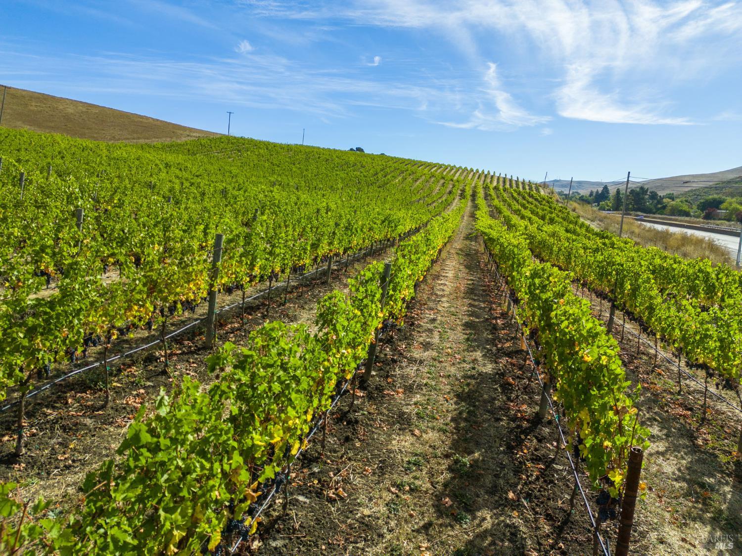 3800 Jameson Canyon Rd