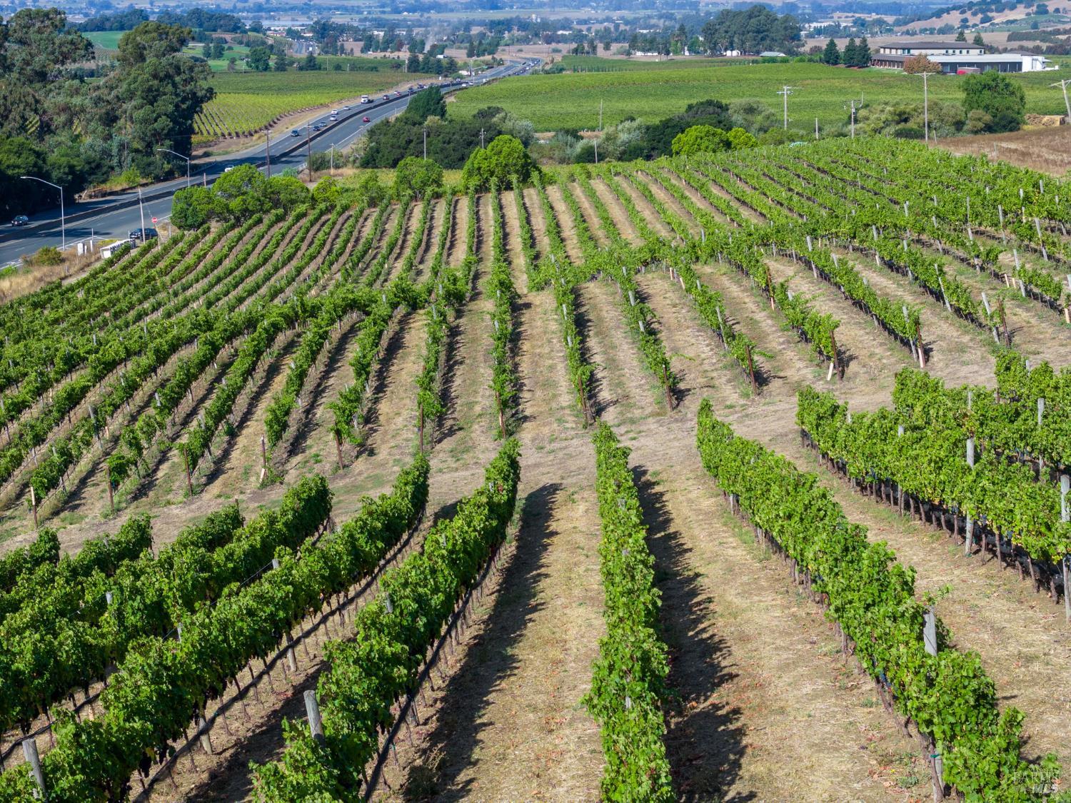 3800 Jameson Canyon Rd