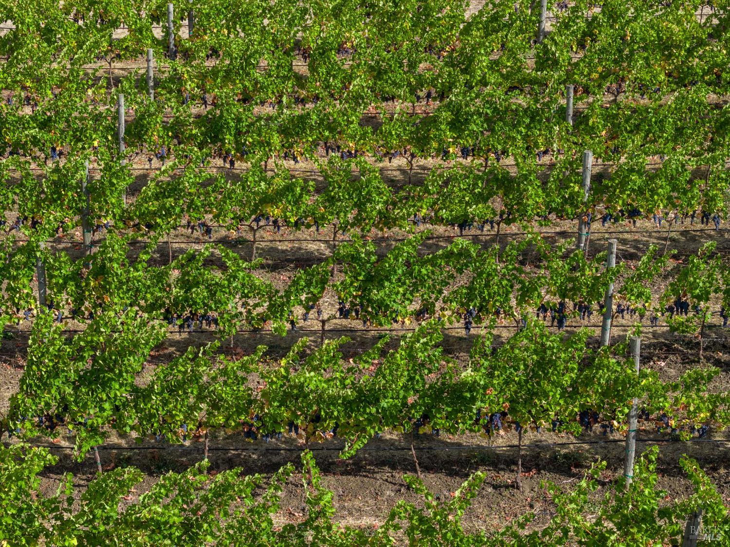 3800 Jameson Canyon Rd