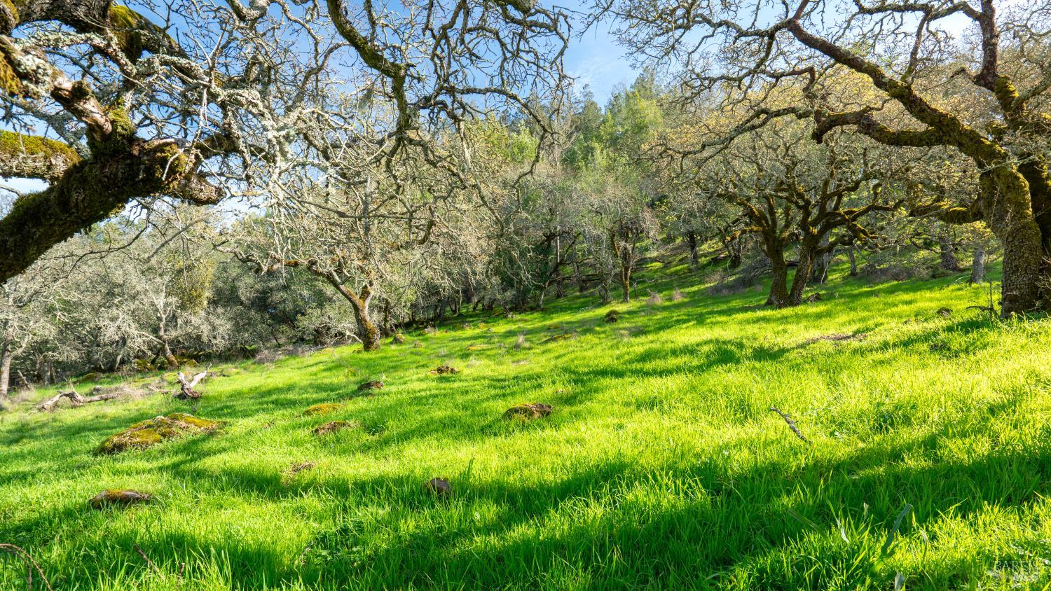 5569 Pepperwood Road