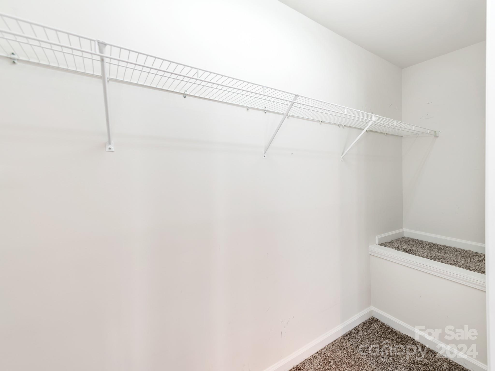 12203 Cane Branch Way