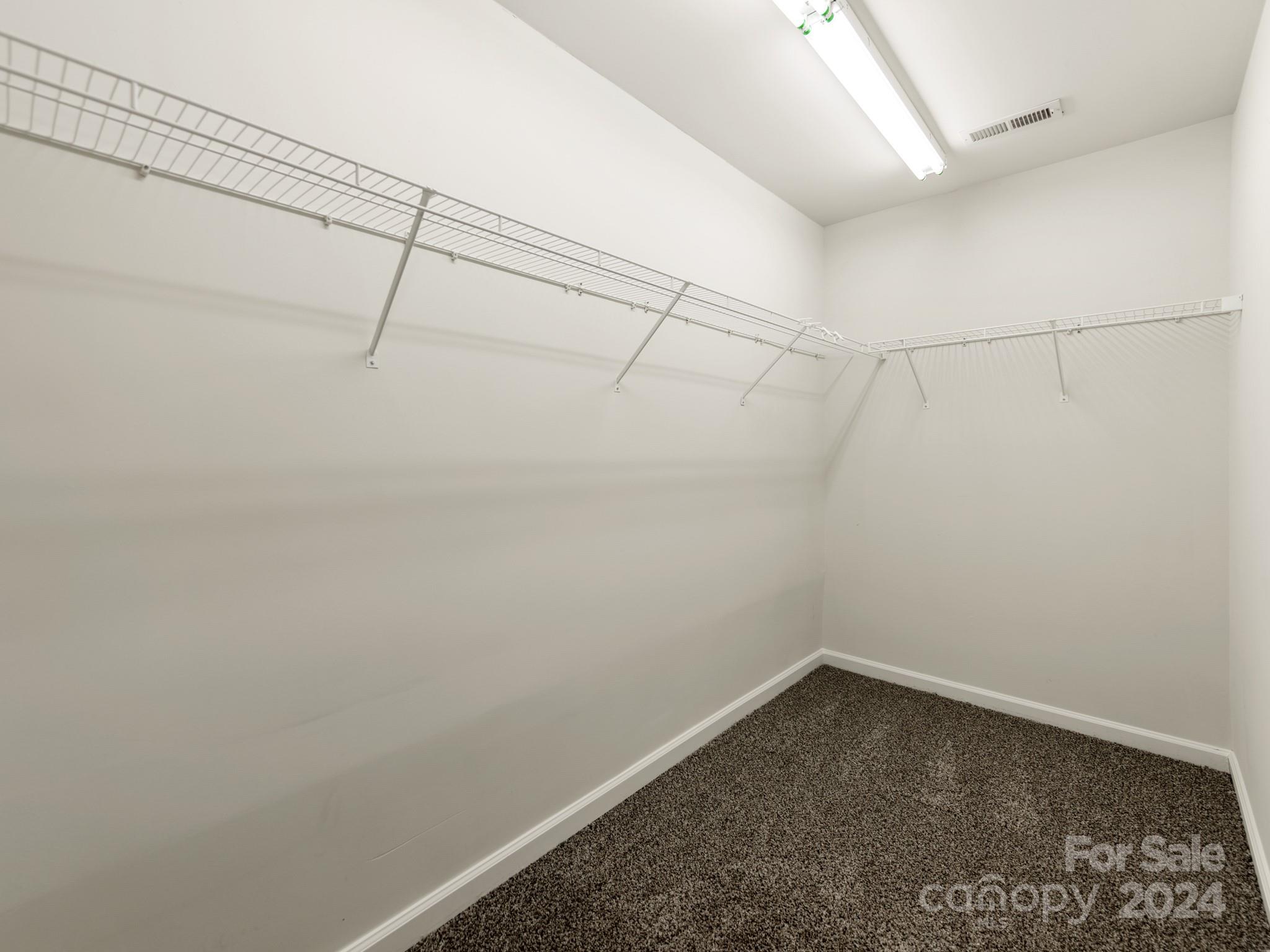 12203 Cane Branch Way