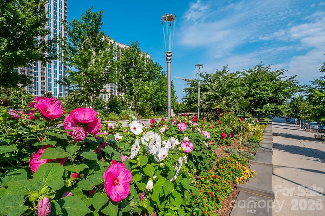 525 E Sixth Street #407