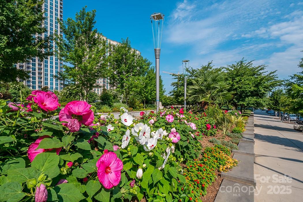 525 E Sixth Street #407