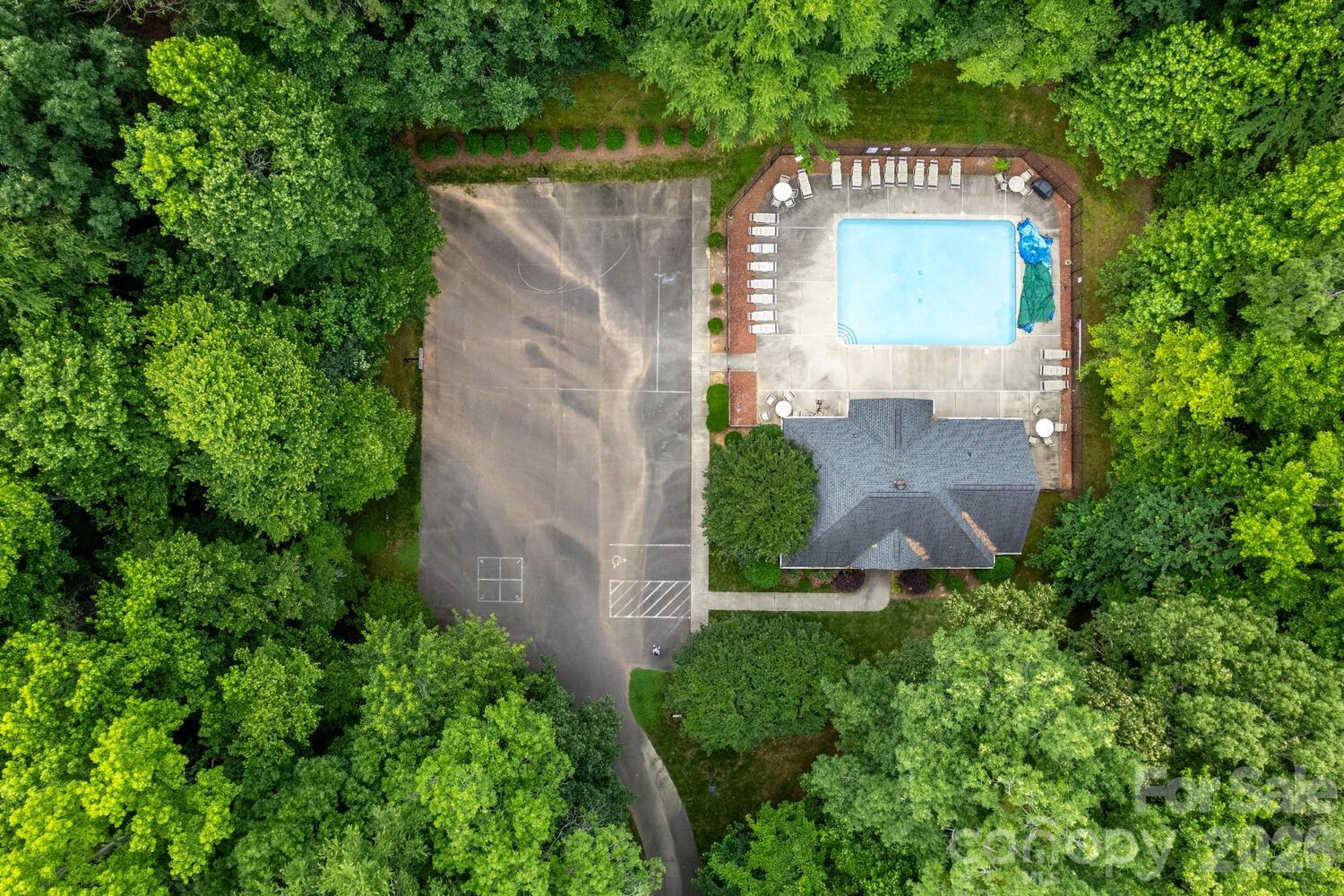 6208 Pumpernickel Lane