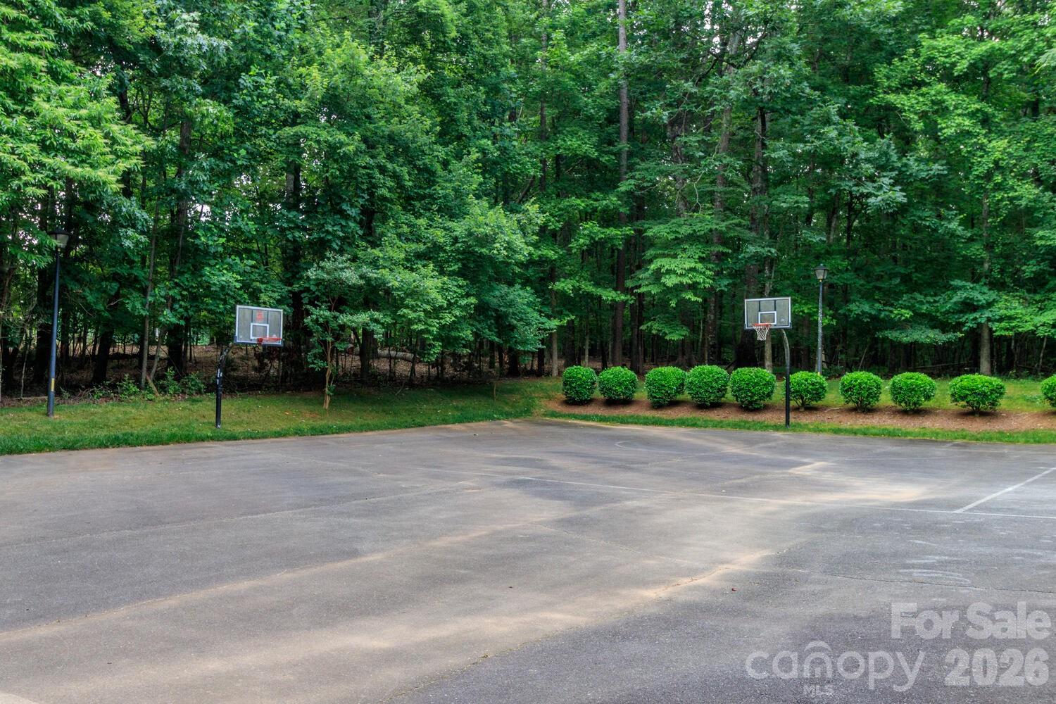 6208 Pumpernickel Lane