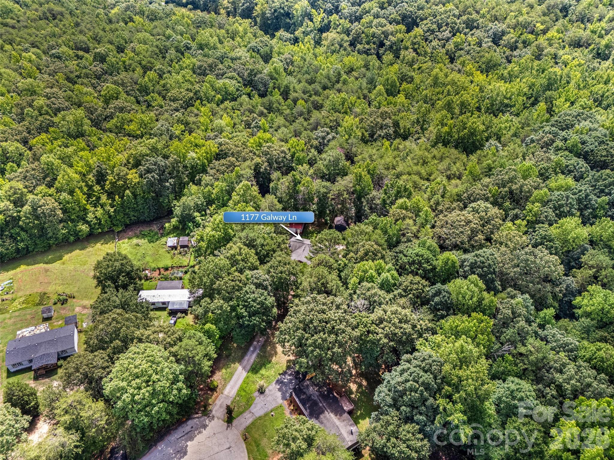 1177 Galway Lane