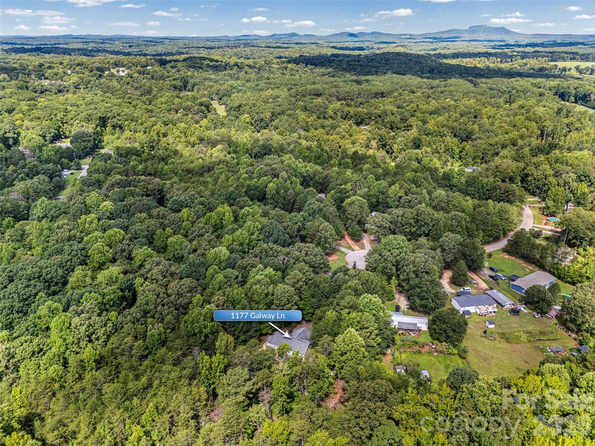 1177 Galway Lane