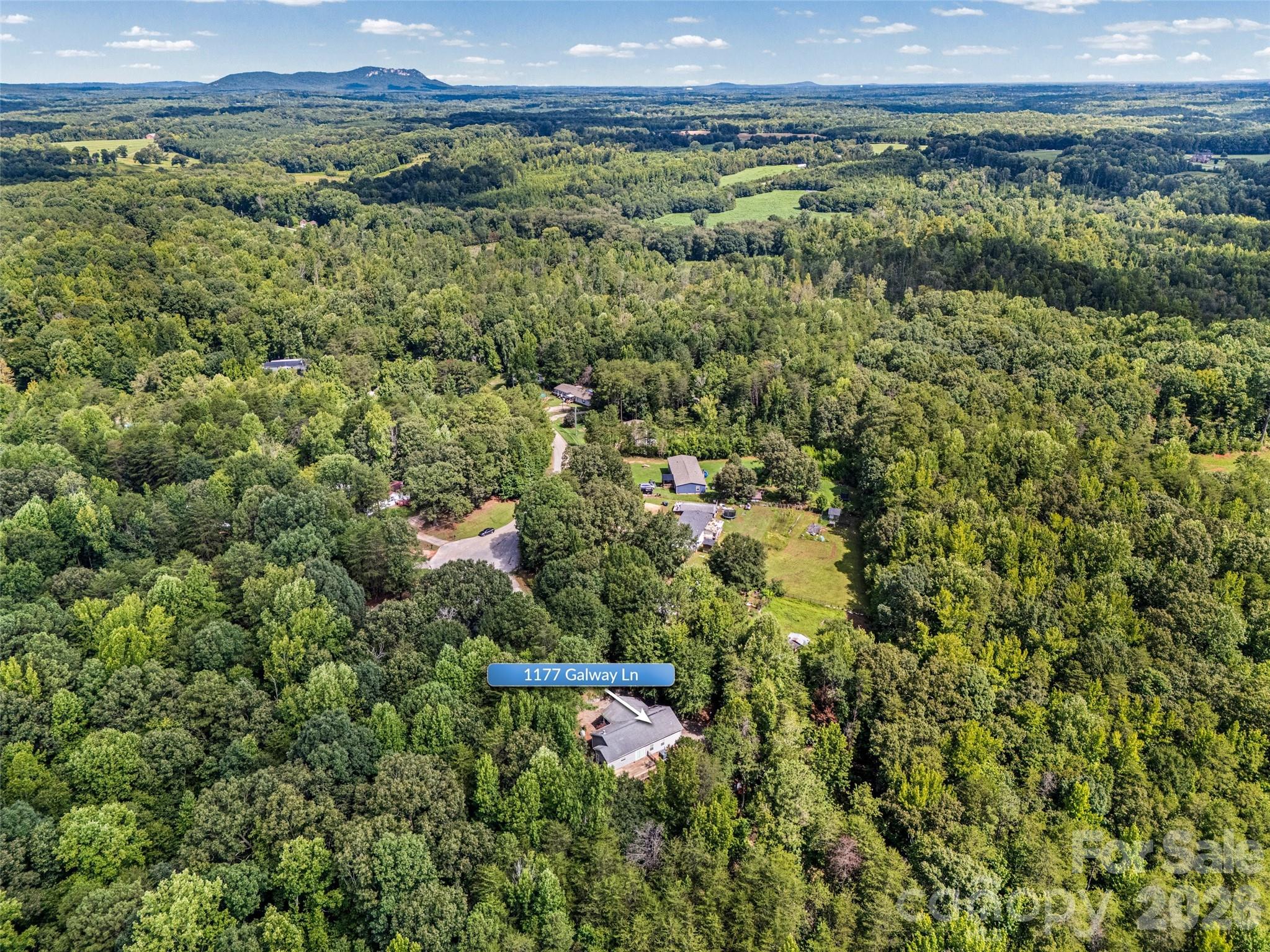 1177 Galway Lane