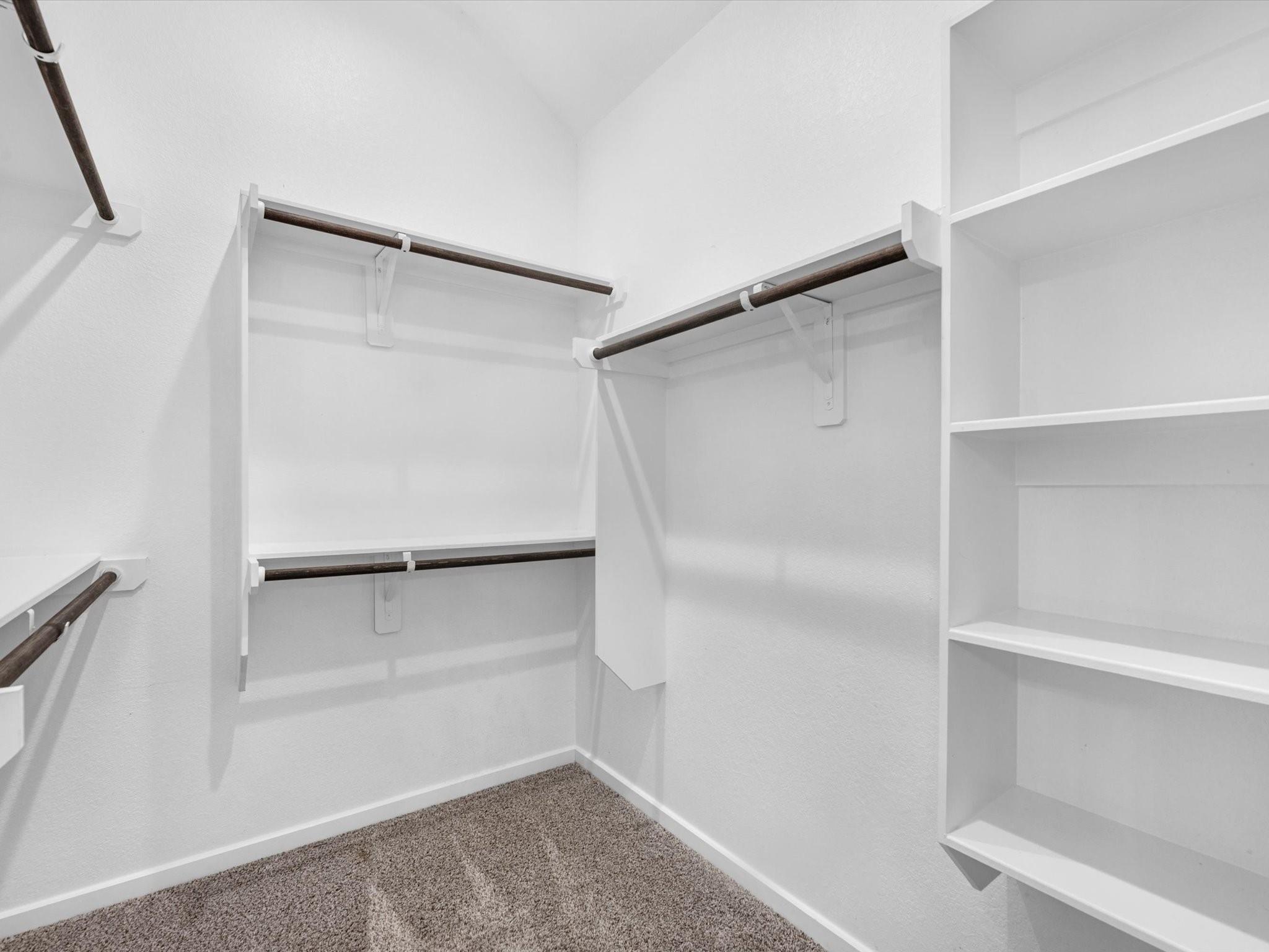 731 Lacebark Elm Trail