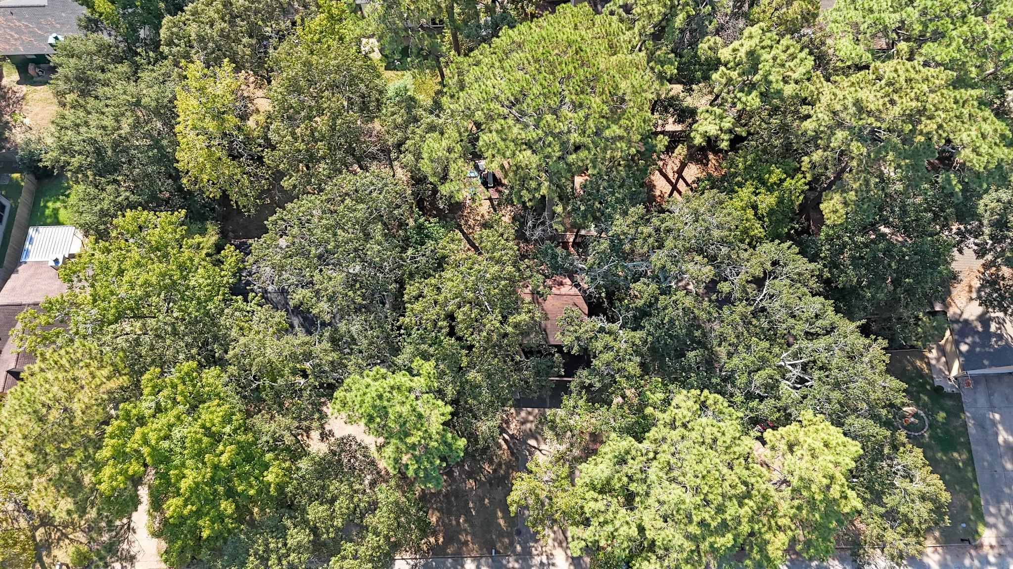 3230 Beaver Glen Drive, Houston