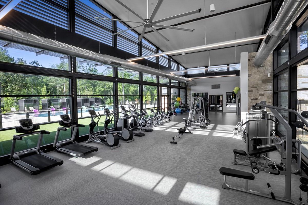 731 Lacebark Elm Trail