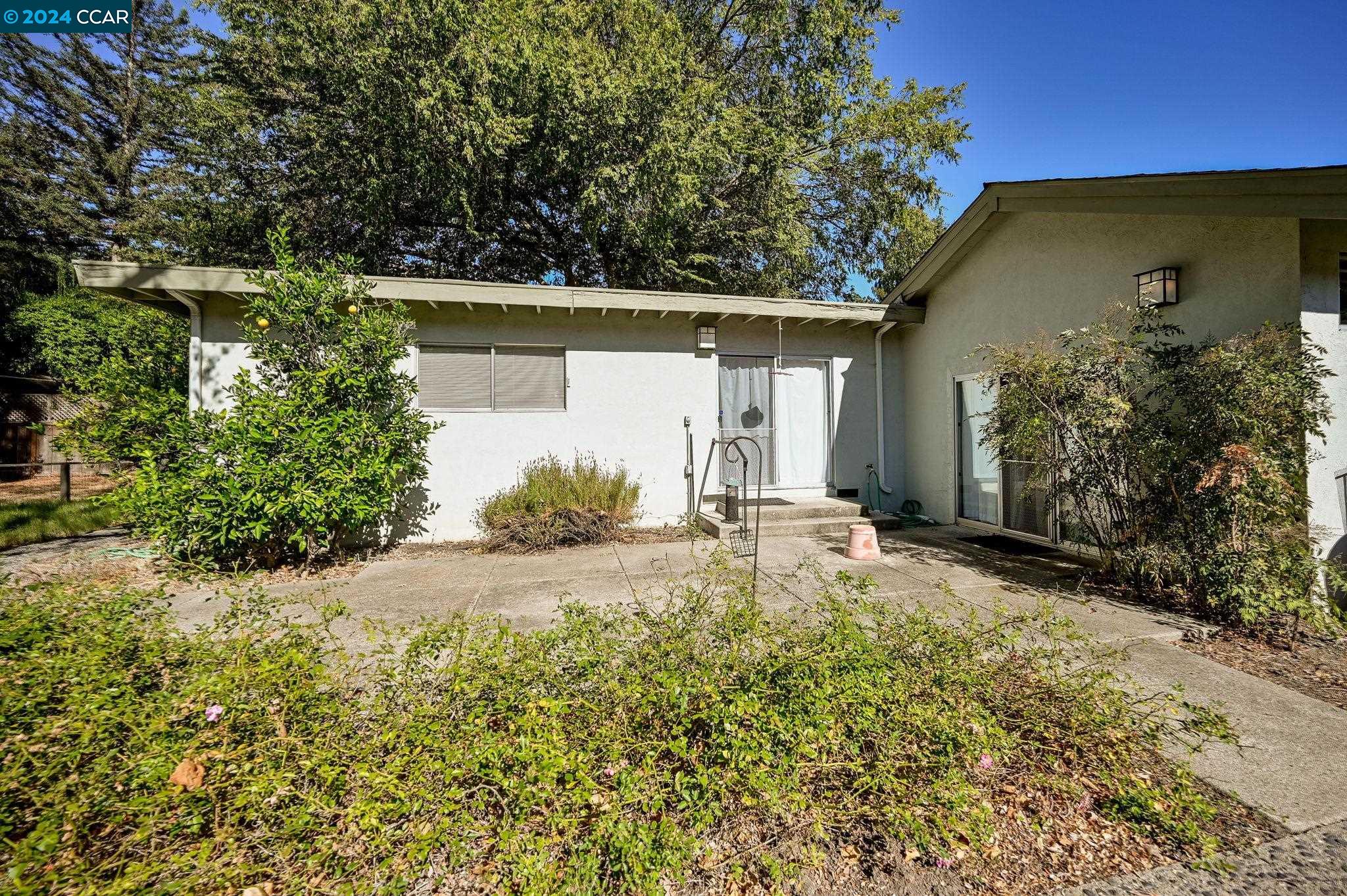 51 Alder Ave