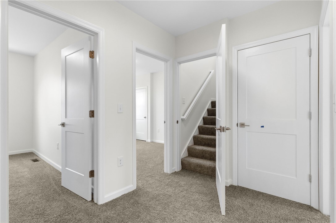 303 Elsdon Street