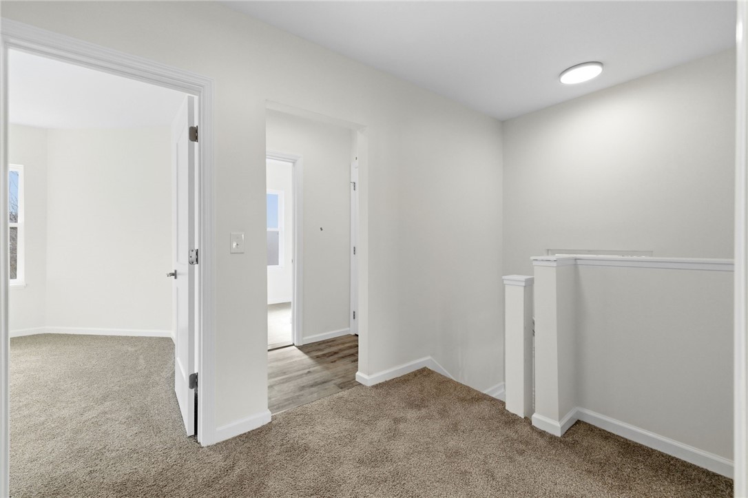 303 Elsdon Street