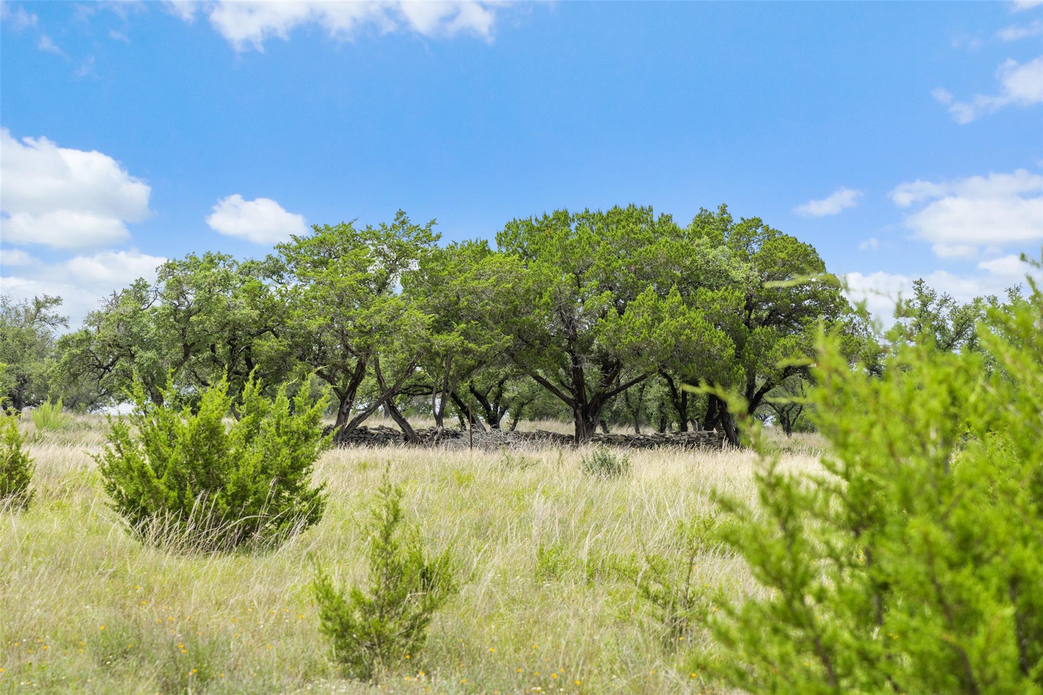 1087 (Lot 49) Stone Ridge Mountain DR