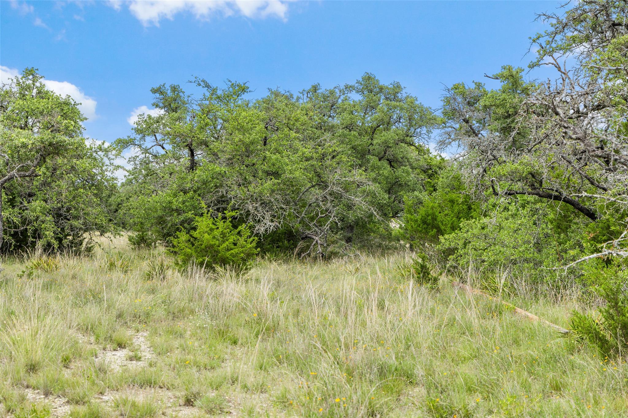 1087 (Lot 49) Stone Ridge Mountain DR
