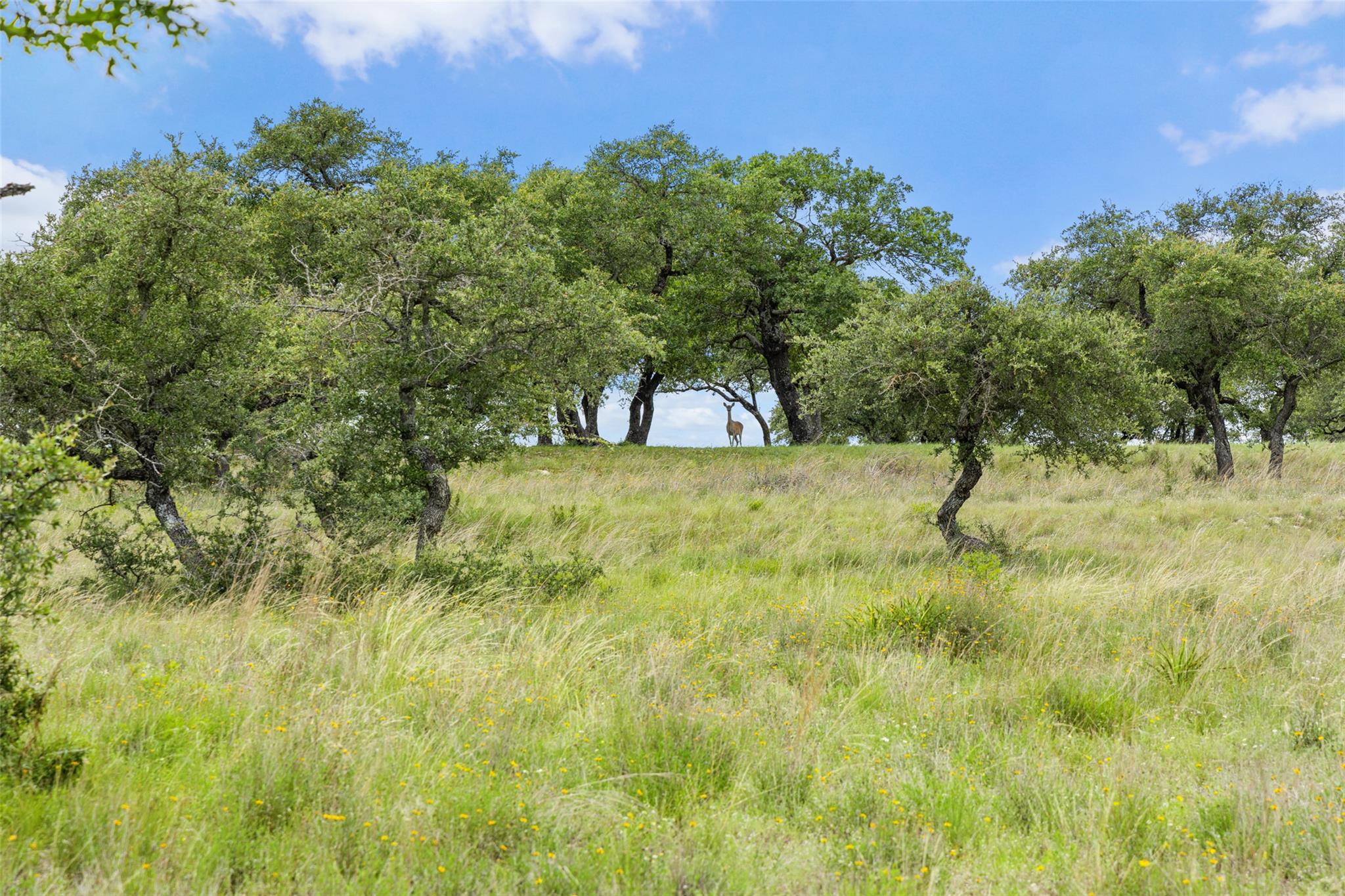 1087 (Lot 49) Stone Ridge Mountain DR