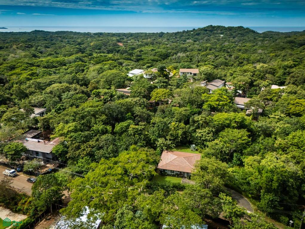 , Playa Grande, Guanacaste