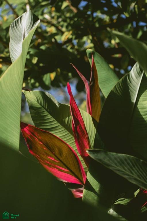 , Veintisiete de Abril, Guanacaste
