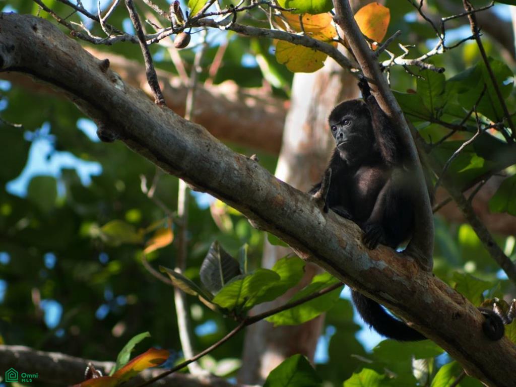Playa Lagartillo, Beachfront lots , Tamarindo, Guanacaste