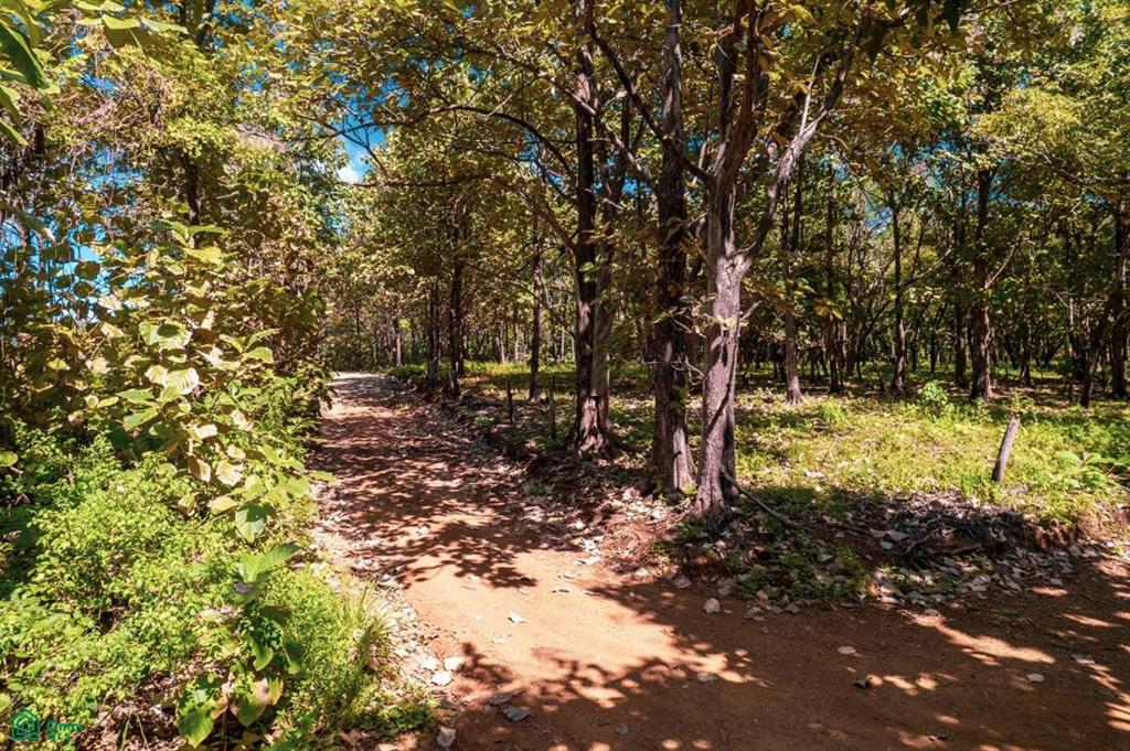 Playa Lagartillo, Beachfront lots , Tamarindo, Guanacaste