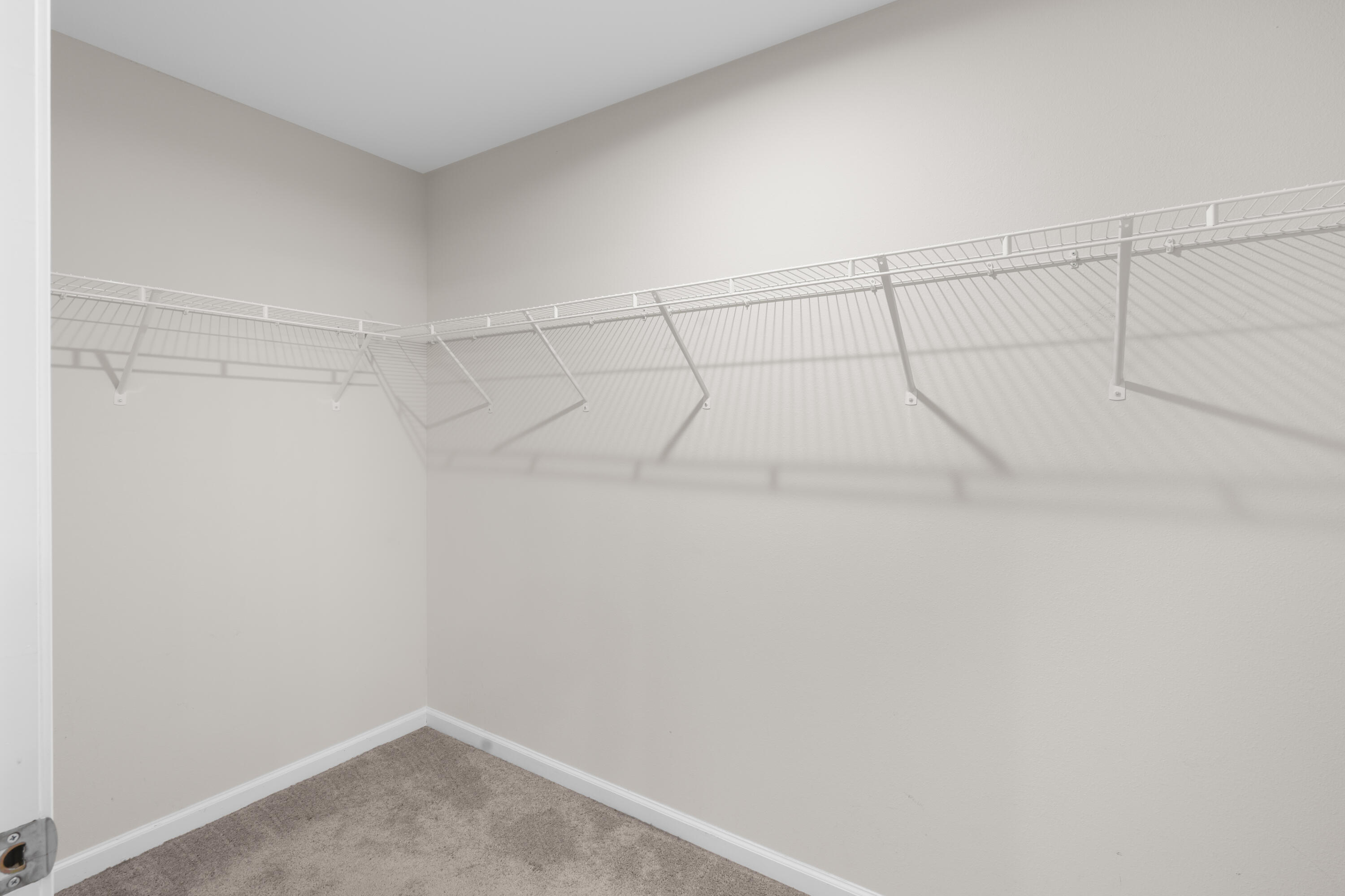 Walk-in closet with white wire shelving and beige carpet.