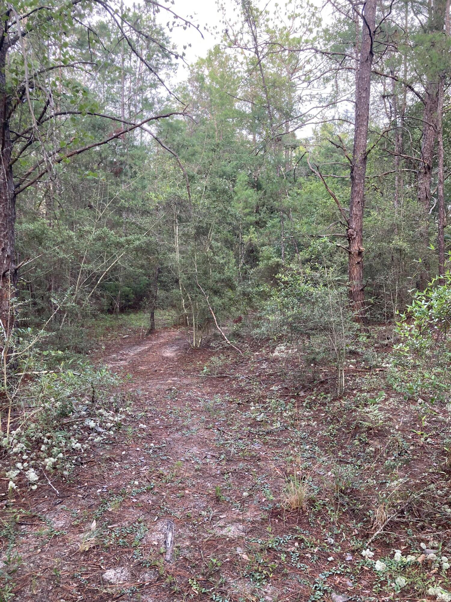 Lot 5 Cowslip Ct., DeFuniak Springs