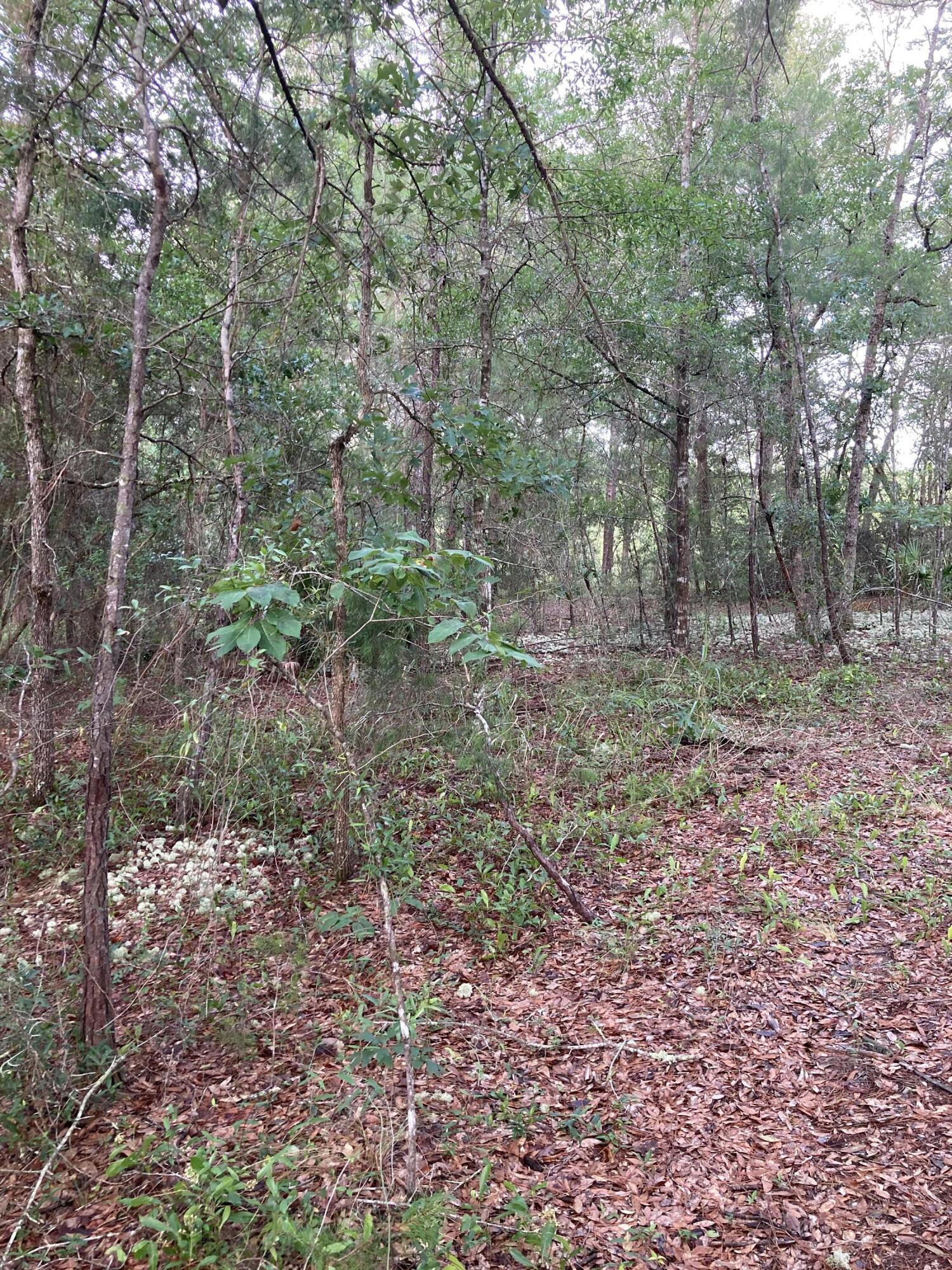 Lot 5 Cowslip Ct., DeFuniak Springs