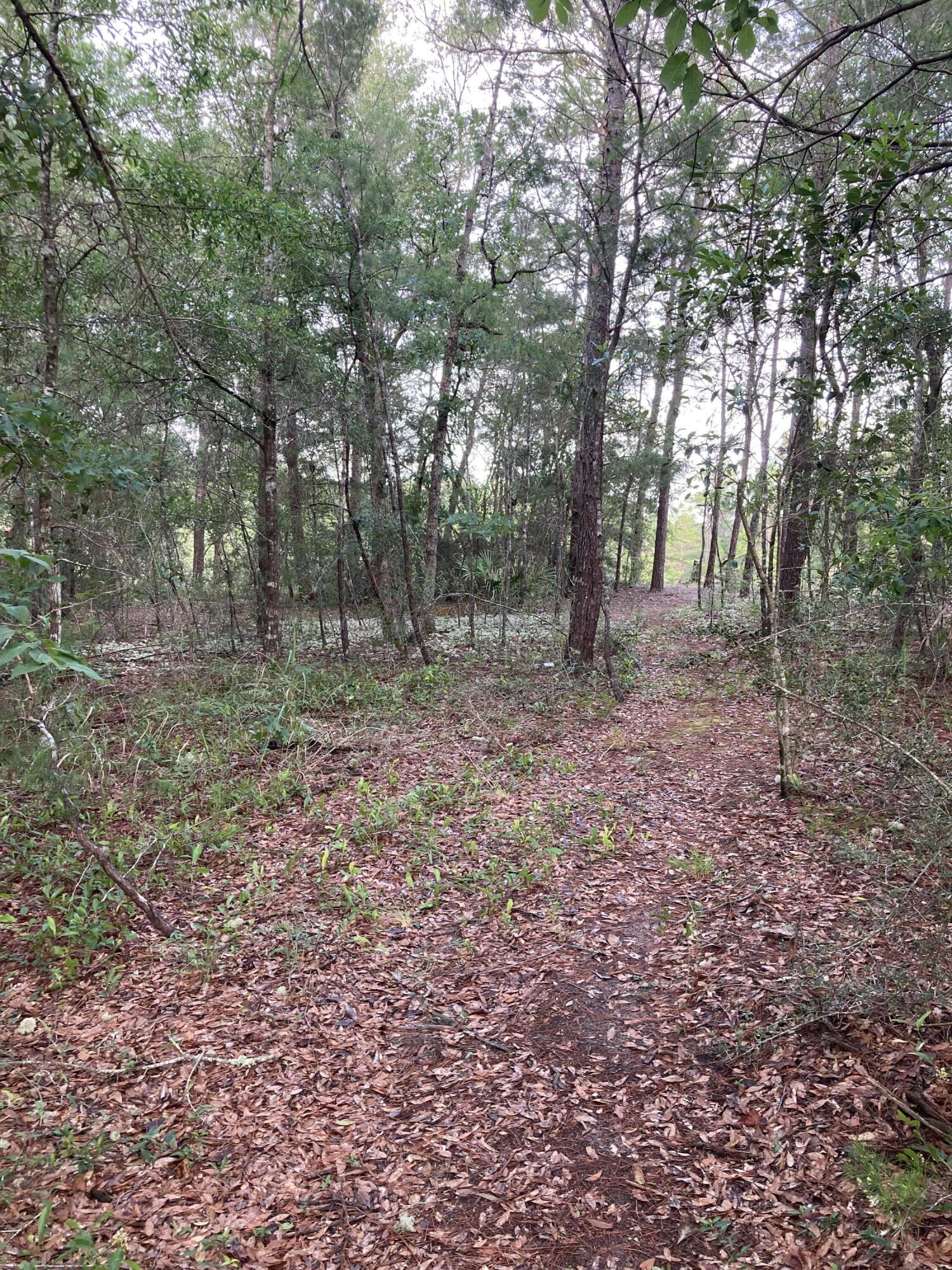 Lot 5 Cowslip Ct., DeFuniak Springs