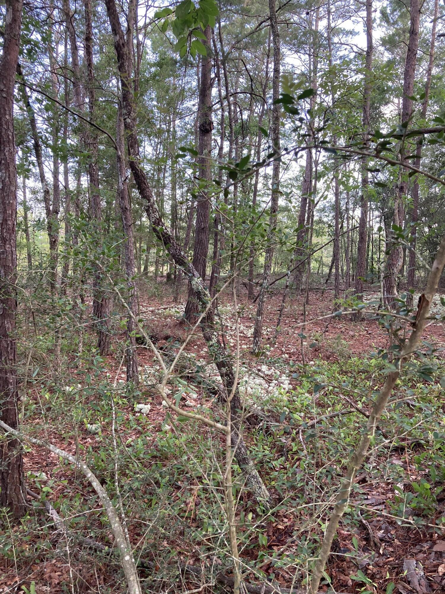 Lot 5 Cowslip Ct., DeFuniak Springs