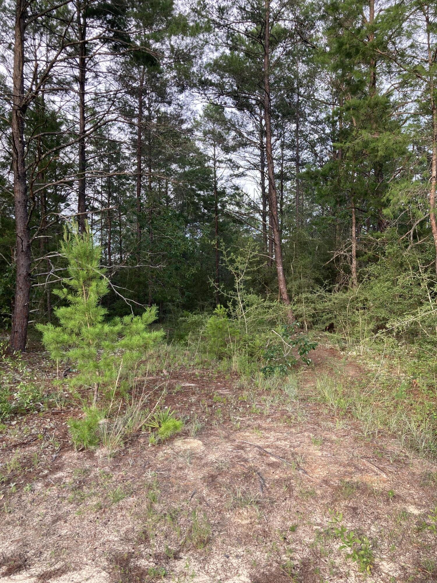 Lot 5 Cowslip Ct., DeFuniak Springs