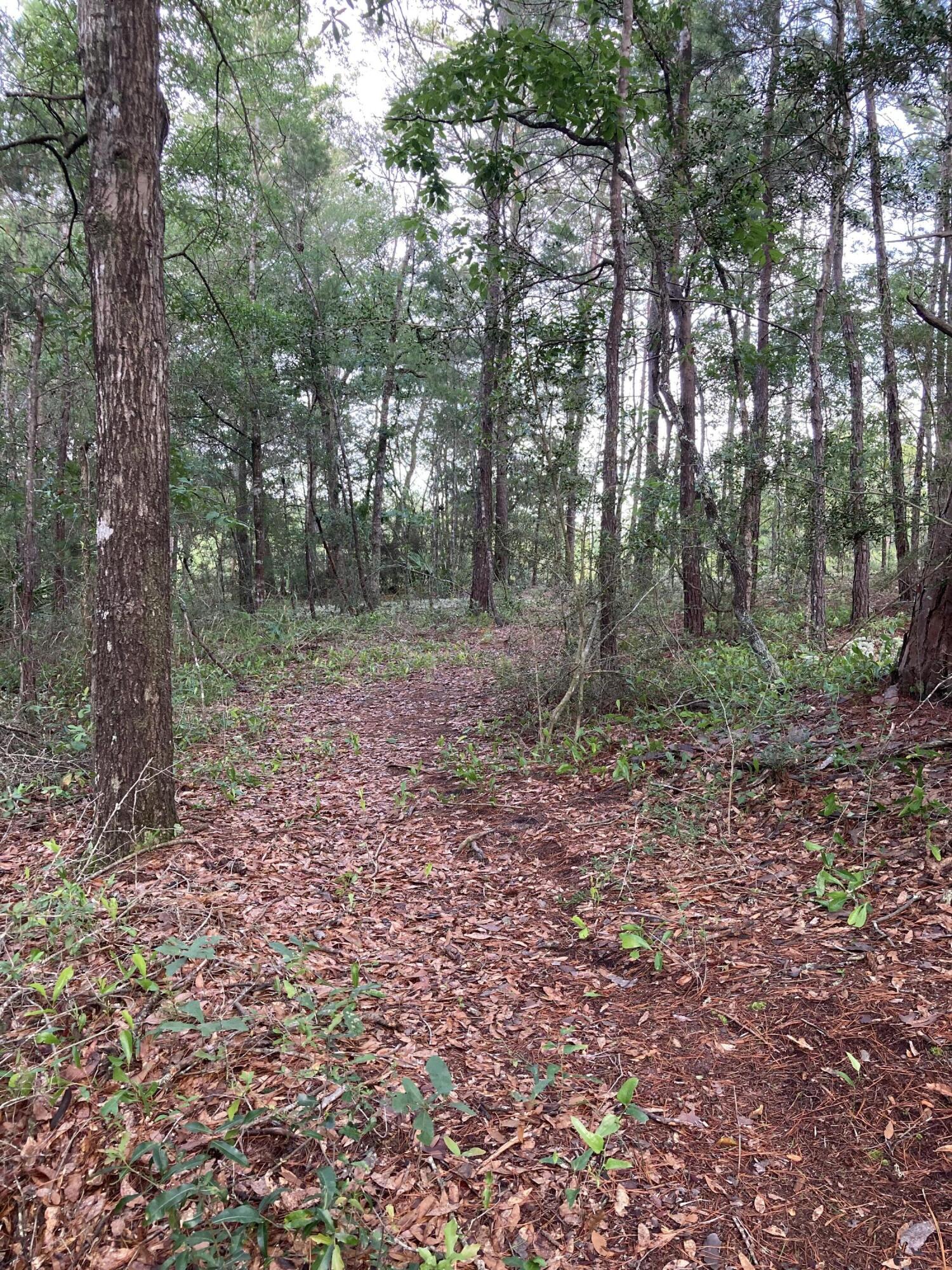 Lot 5 Cowslip Ct., DeFuniak Springs