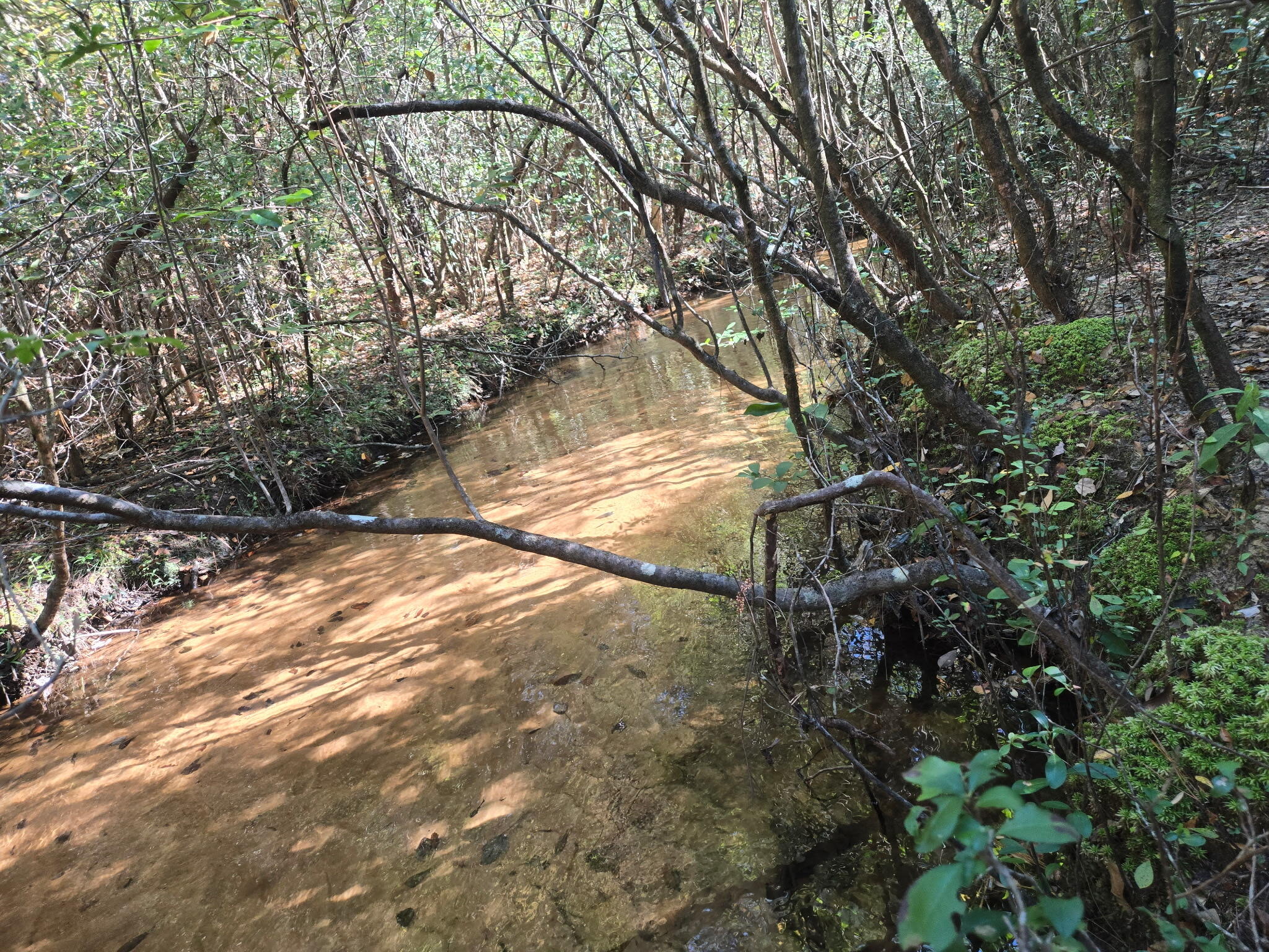 00 Boy Scout Road, DeFuniak Springs