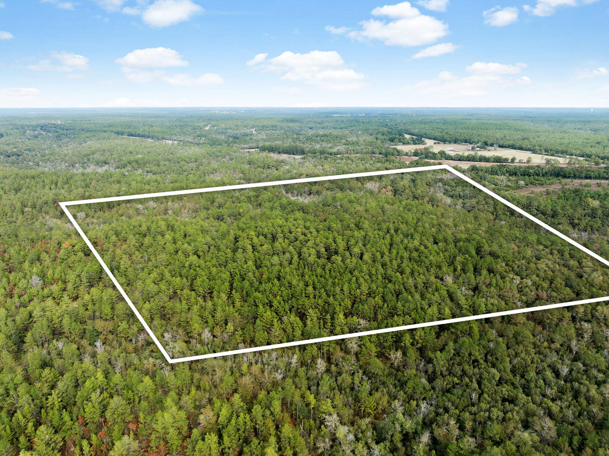 00 Boy Scout Road, DeFuniak Springs