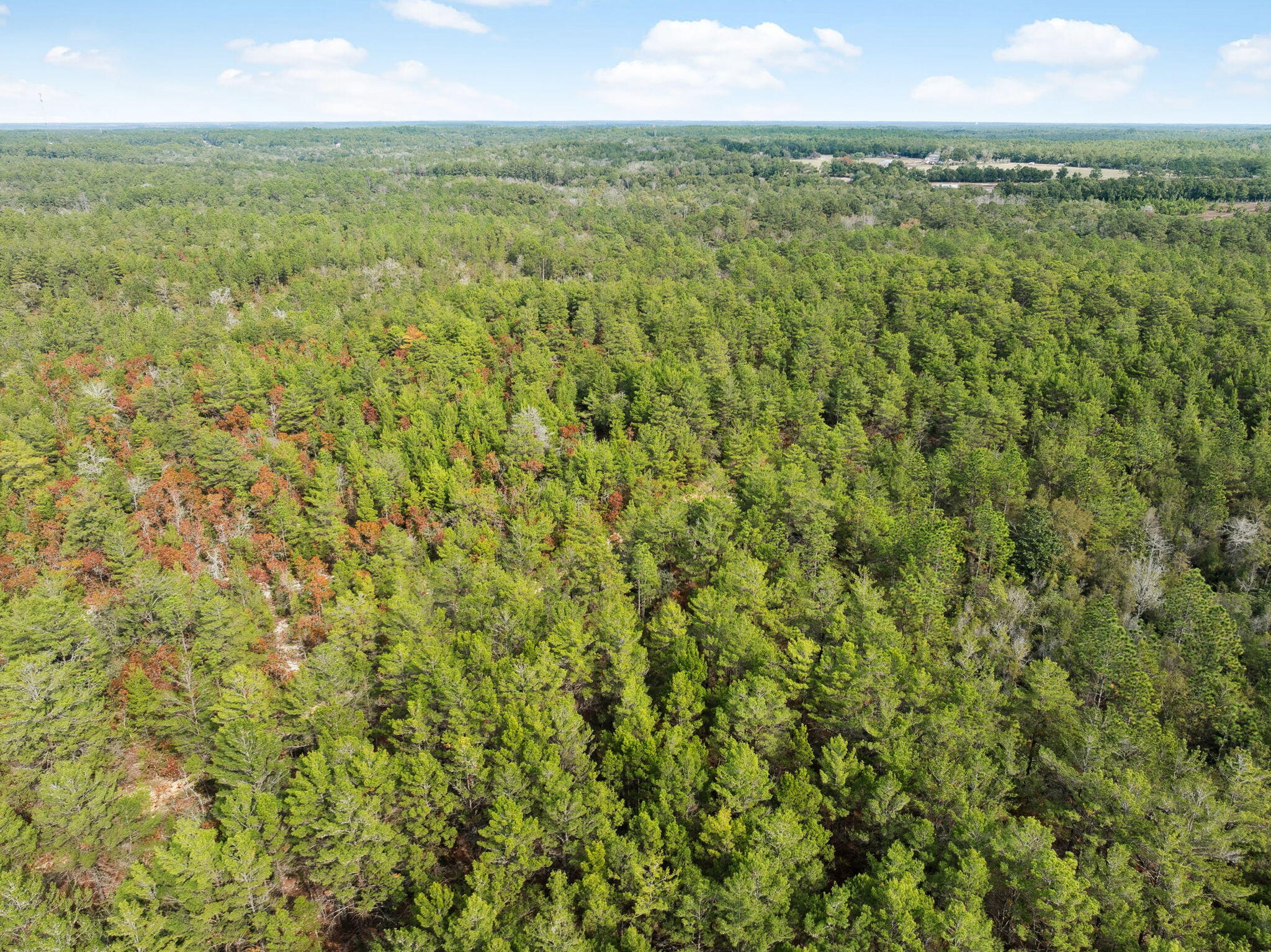 00 Boy Scout Road, DeFuniak Springs
