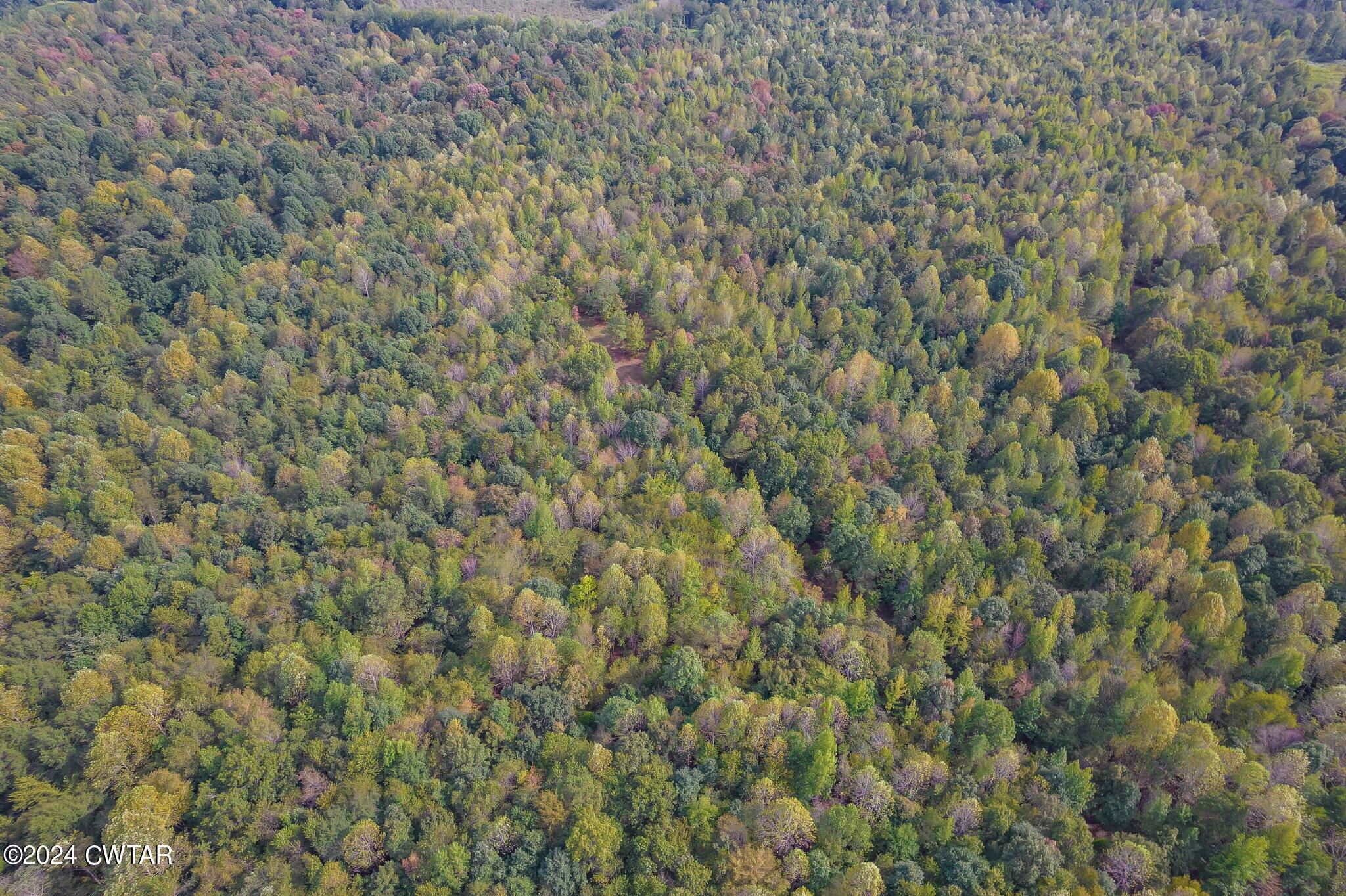 1980 State Highway 200