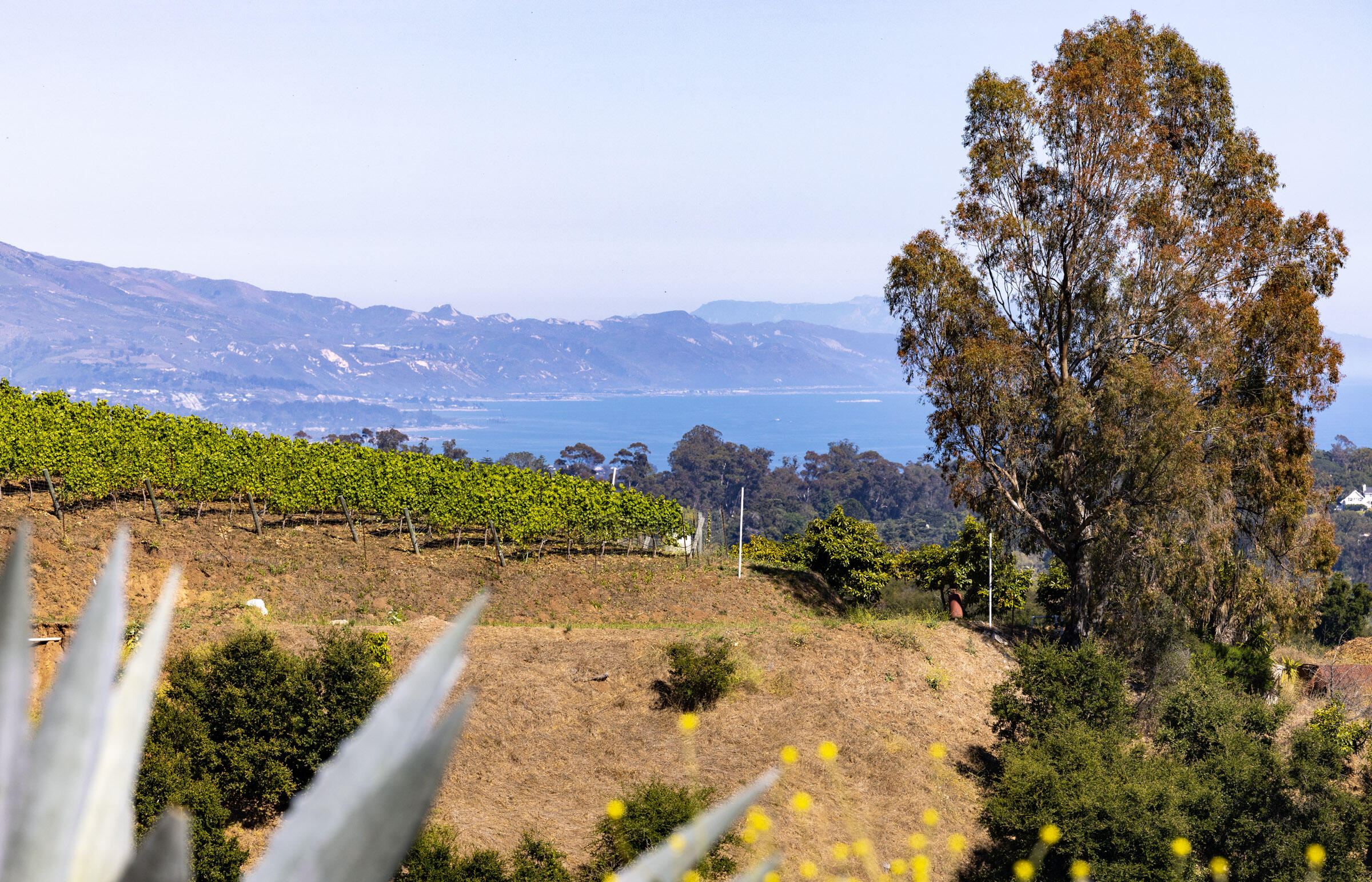 930 W Mountain Drive