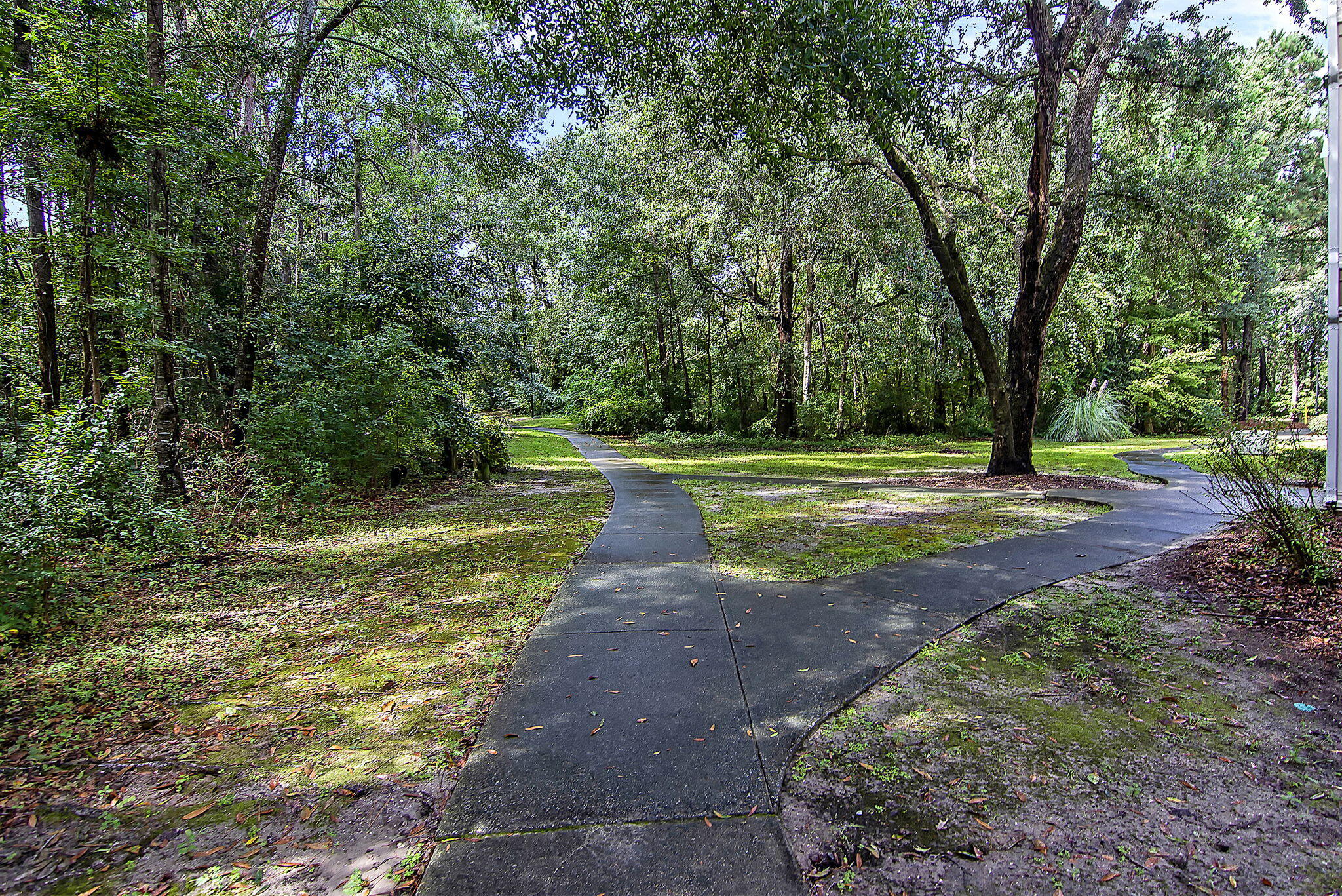 700 Daniel Ellis Drive # 2203